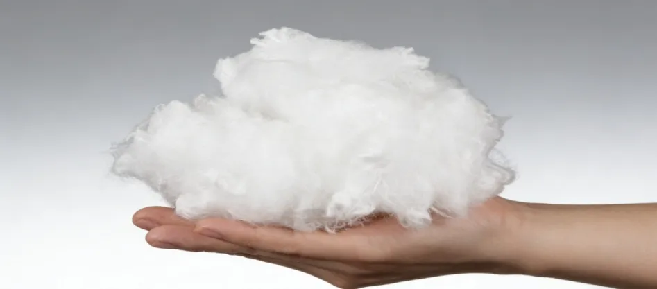 Fibre vierge vs. fibre recyclée - Laquelle devriez-vous choisir ?