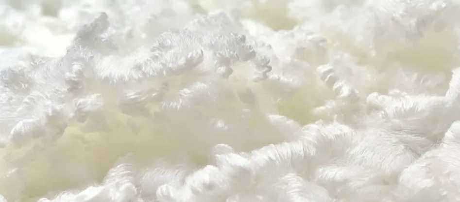 Le polyester est-il une fibre synthétique ? (2)