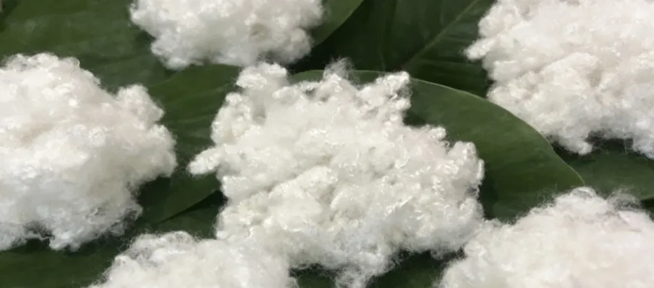 Le polyester est-il une fibre synthétique ? Quelque chose que vous devez savoir